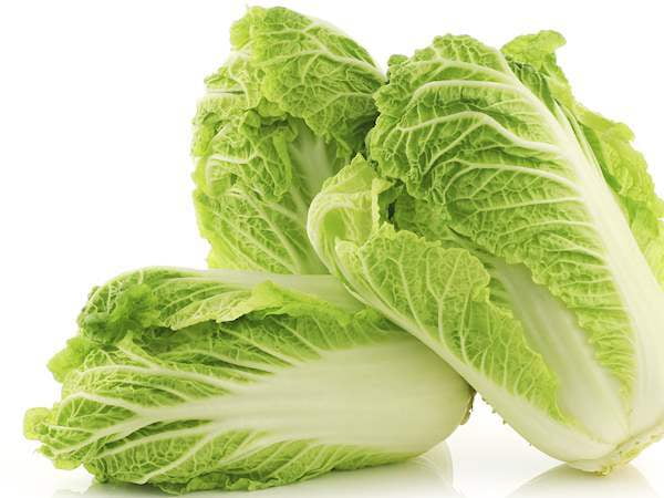 Chinese Cabbage Per kg