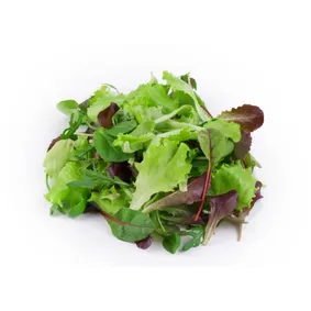 Mixed Soft Lettuce Punnet