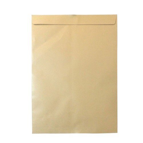 Brown Envelope (8.5x4.5)